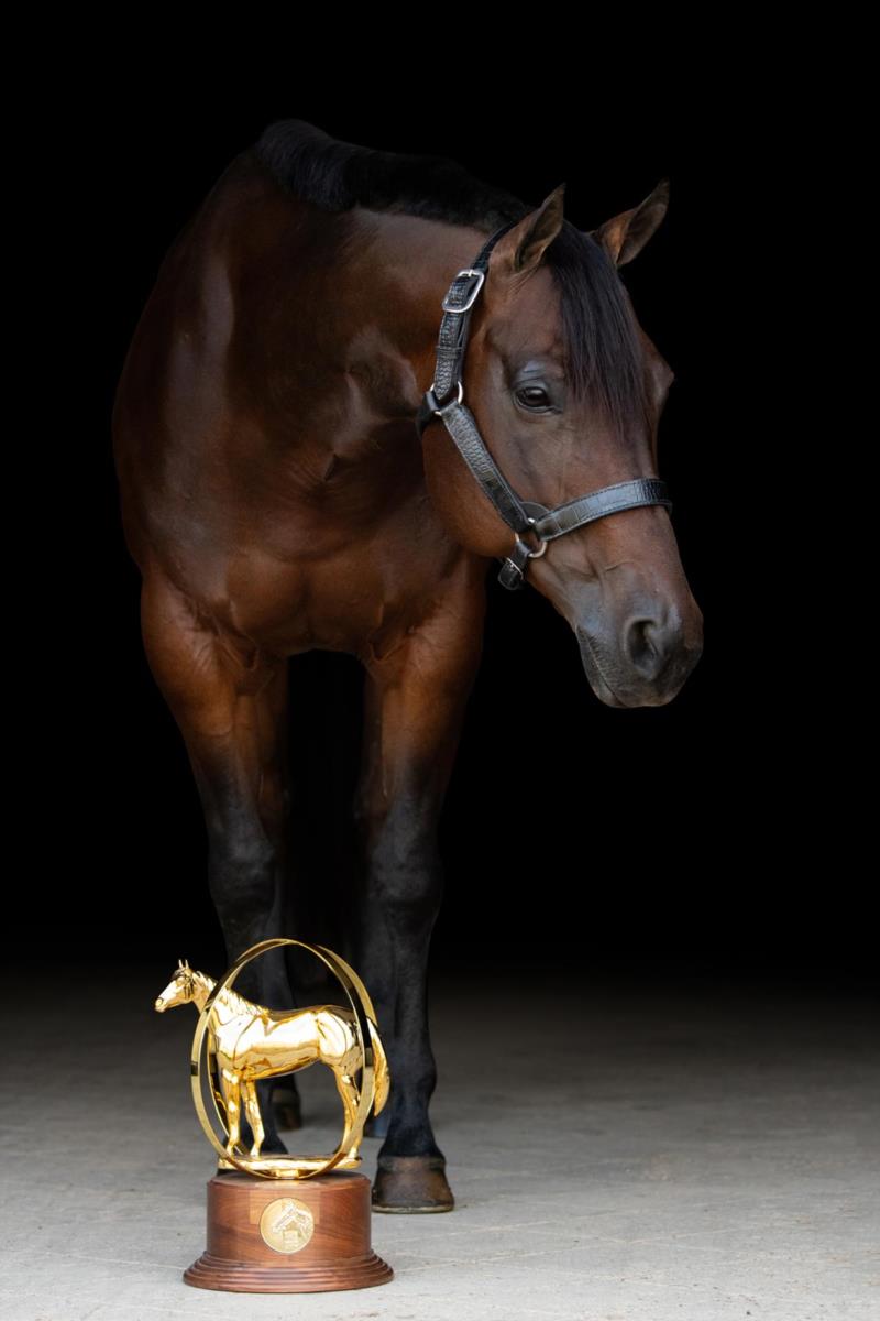 No Doubt Sheza Zippo<br>'Mable'